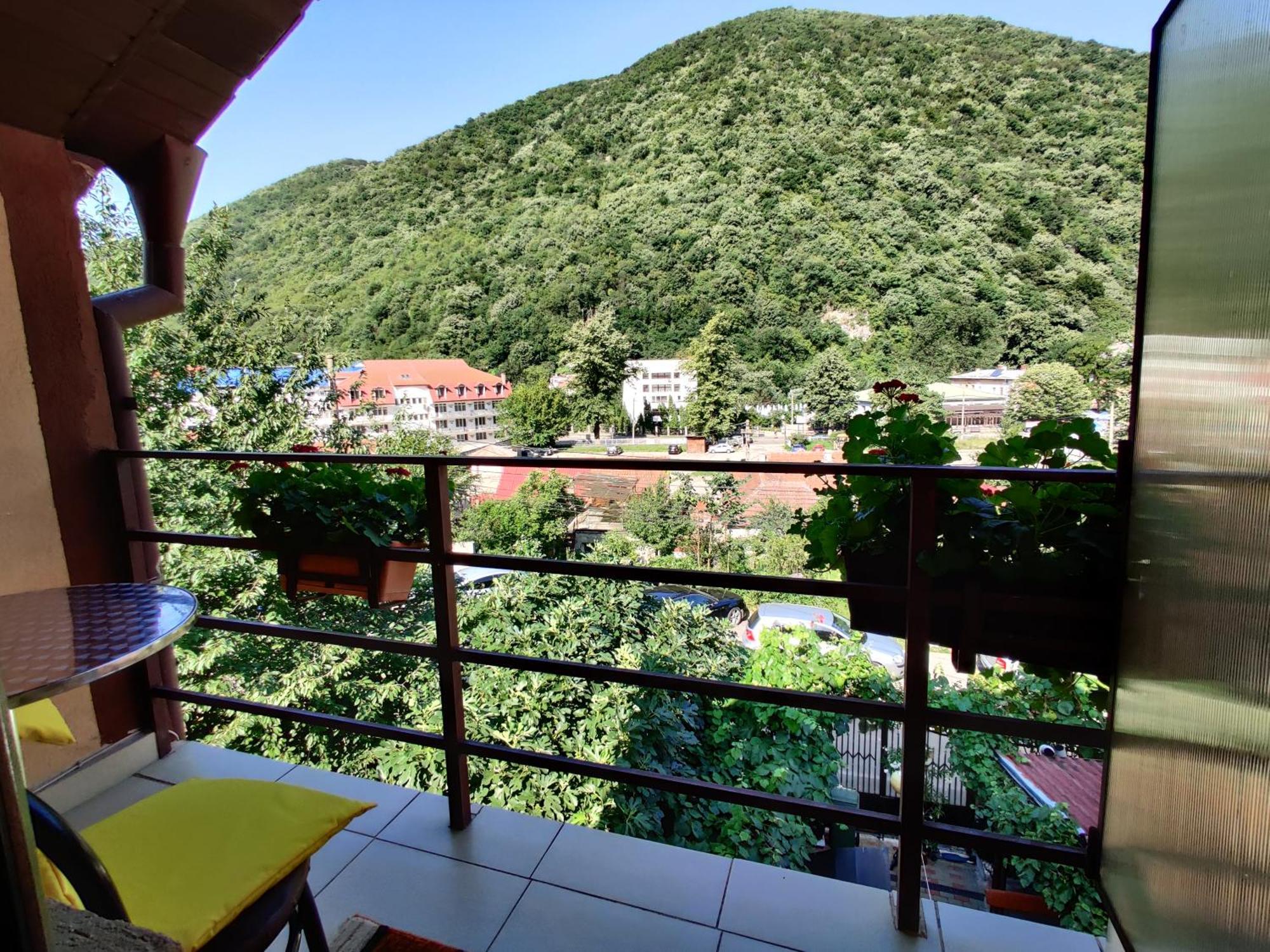 Apartamento Casa Miclau Băile Herculane Habitación foto